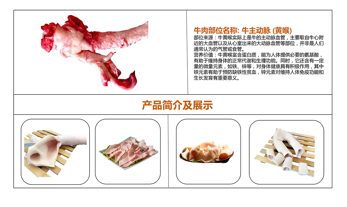 牛主动脉.jpg